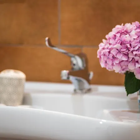 Diffuso Antagonisti Hostal *