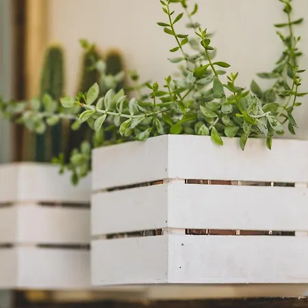 Hostel Diffuso Antagonisti